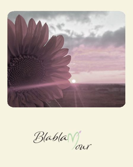 Image illustrant une lettre d'adieu avec un coucher de soleil et un tournesol