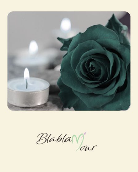 Image montrant une rose verte et une bougie pour illustrer le message de condoléances court